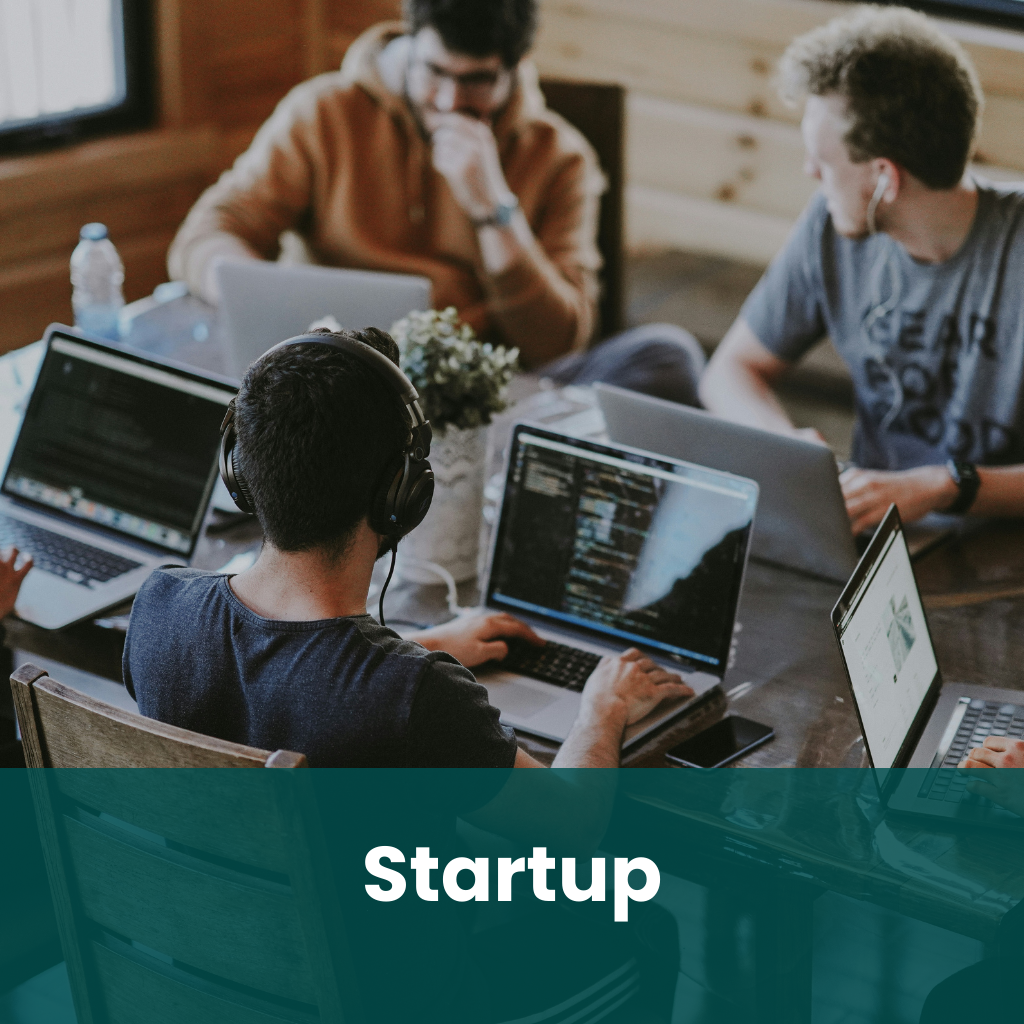 Accrulyn Illustration of a Startup working on laptops together.